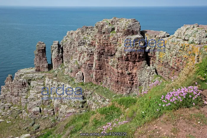 : 80192903 Rock Outcrops - on rocky coastline Cap : 80192903 Rock Outcrops - on rocky coastline Cap