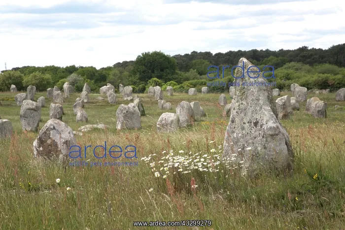 : 80192907 Carnac Stones - Megalithic site Menec alignments : 80192907 Carnac Stones - Megalithic site Menec alignments