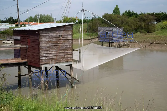 : 80192913 Wooden Fishermen's Huts - on stilts with : 80192913 Wooden Fishermen's Huts - on stilts with