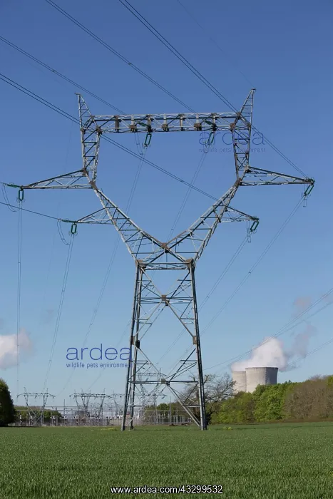 : 80192934 Powerlines and Cooling Towers - EDF nuclear : 80192934 Powerlines and Cooling Towers - EDF nuclear