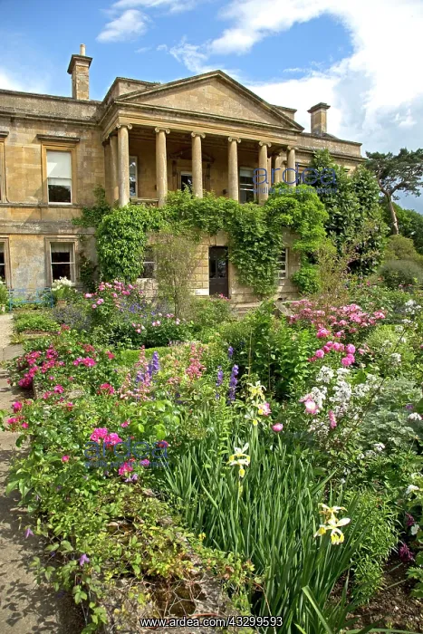 : 80192944 Kiffsgate Gardens Mickleton, Cotswolds : 80192944 Kiffsgate Gardens Mickleton, Cotswolds