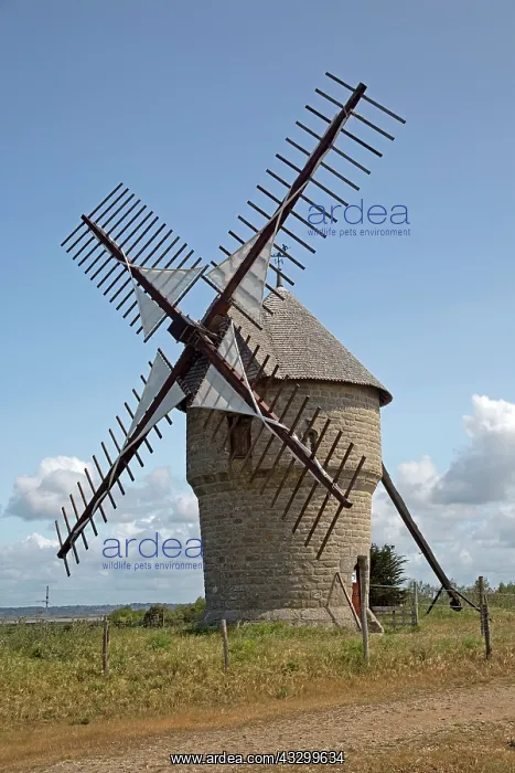  : 80192949 Windmill - (originally 16th century dismantled