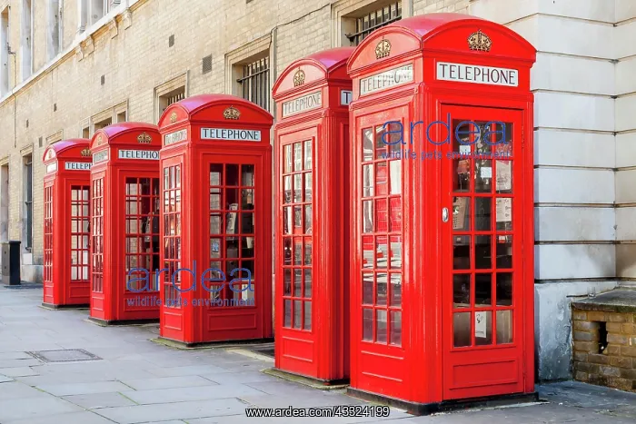 : 80194052 await Red telephone boxes, London, England : 80194052 await Red telephone boxes, London, England