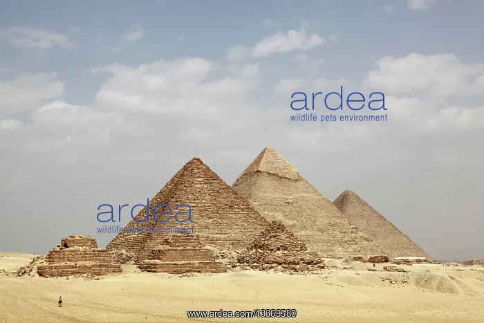  : 80194205 The pyramid of Menkaure (Mycerinus), the
