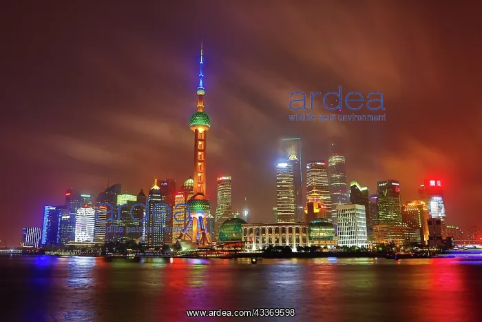 : 80194210 General view of the Pudong city skyline : 80194210 General view of the Pudong city skyline