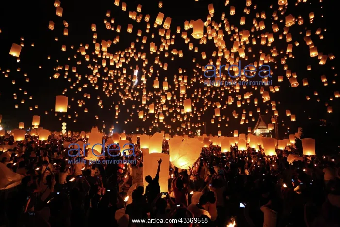 : 80194213 Khom Loy Lanterns at the Yee Peng Sansai : 80194213 Khom Loy Lanterns at the Yee Peng Sansai