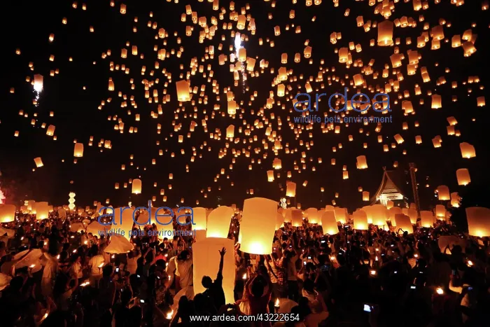 : 80194214 Khom Loy Lanterns at the Yee Peng Sansai : 80194214 Khom Loy Lanterns at the Yee Peng Sansai
