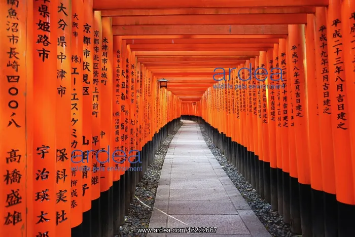  : 80194216 Senbon Torii, tunnels of red torii gates
