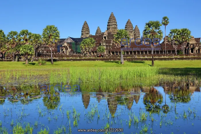 : 80194219 Angkor Wat Temple and reflection in reflecting : 80194219 Angkor Wat Temple and reflection in reflecting