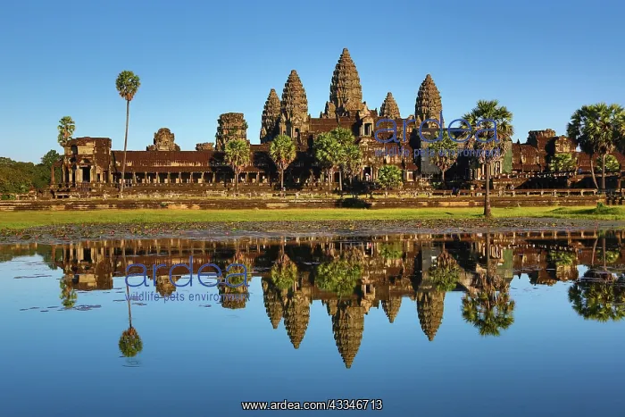 : 80194220 Angkor Wat Temple and reflection in pool : 80194220 Angkor Wat Temple and reflection in pool