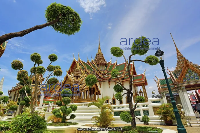 : 80194221 Phra Thinang Dusit Maha Prasat building : 80194221 Phra Thinang Dusit Maha Prasat building
