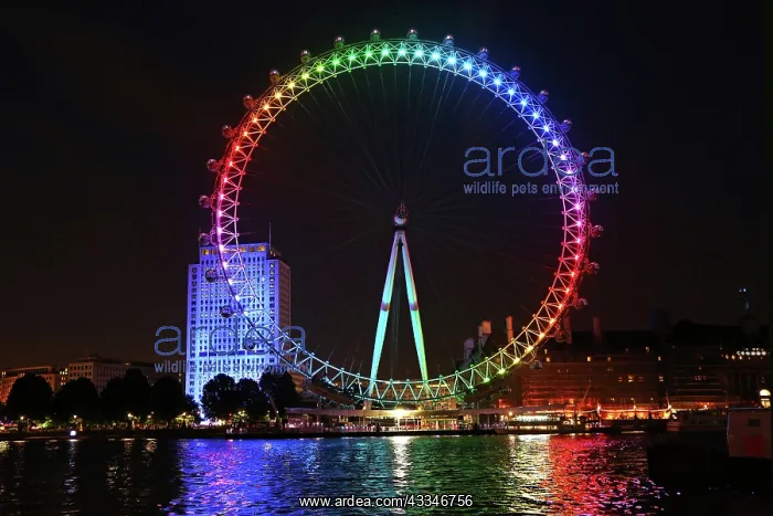 : 80194225 London, UK. 27th June 2015. London Eye : 80194225 London, UK. 27th June 2015. London Eye