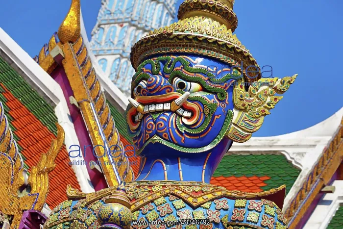 : 80194229 Virulhok (Wirunhok) Giant Yaksha Demon : 80194229 Virulhok (Wirunhok) Giant Yaksha Demon
