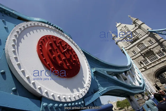 : 80194230 Metalwork on Tower Bridge bascule bridge : 80194230 Metalwork on Tower Bridge bascule bridge