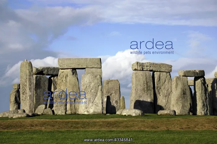 : 80194234 Stonehenge Stone Age circle of standing : 80194234 Stonehenge Stone Age circle of standing