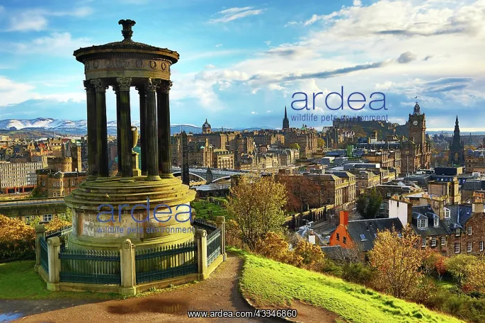 : 80194236 General city skyline view from Calton Hill : 80194236 General city skyline view from Calton Hill