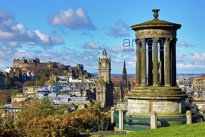 : 80194237 General city skyline view from Calton Hill : 80194237 General city skyline view from Calton Hill