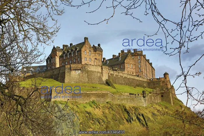 : 80194239 Edinburgh Castle Edinburgh, Scotland, United : 80194239 Edinburgh Castle Edinburgh, Scotland, United