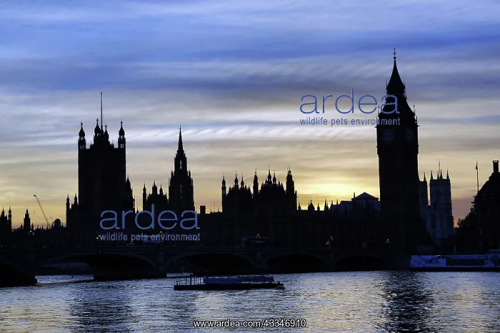 : 80194241 Silhouette of Houses of Parliament and : 80194241 Silhouette of Houses of Parliament and