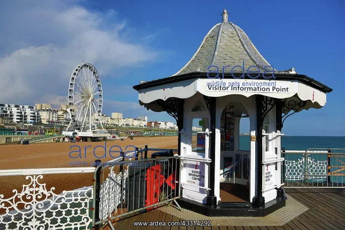 : 80194248 Brighton Pier and Ferris Wheel beside the : 80194248 Brighton Pier and Ferris Wheel beside the