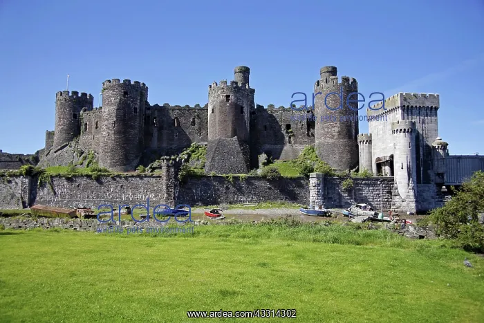 : 80194249 Conwy Castle Conwy, Wales, Britain Paul : 80194249 Conwy Castle Conwy, Wales, Britain Paul