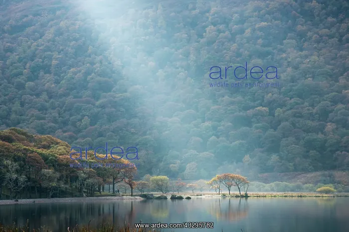 : 80194874 Crummock Water - with light beam Lake District : 80194874 Crummock Water - with light beam Lake District