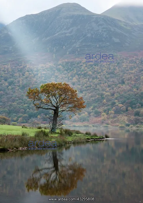 : 80194876 Crummock Water - with light beam Lake District : 80194876 Crummock Water - with light beam Lake District