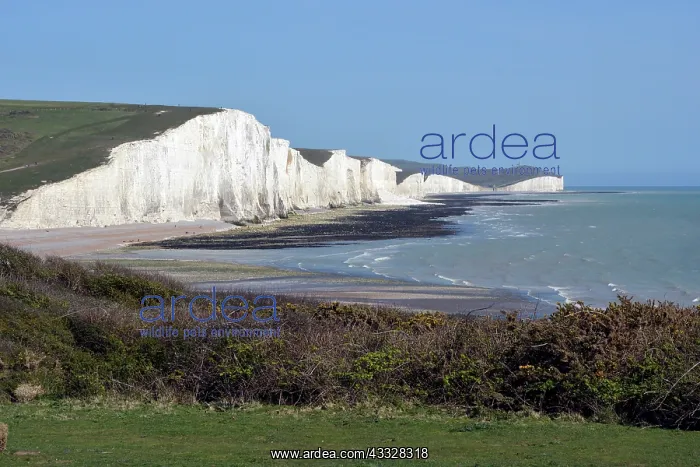 : 80195240 Seven Sisters Chalk Cliffs South Downs : 80195240 Seven Sisters Chalk Cliffs South Downs