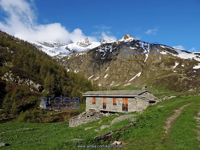 : 80195303 Mountain Hut Orco Valle, Gran Paradiso : 80195303 Mountain Hut Orco Valle, Gran Paradiso