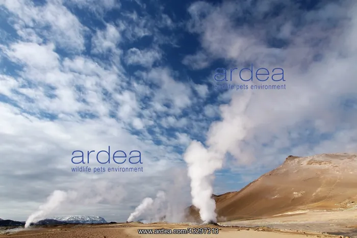 : 80195538 Steam Vents - Hverond, Lake Myvatn, Iceland : 80195538 Steam Vents - Hverond, Lake Myvatn, Iceland