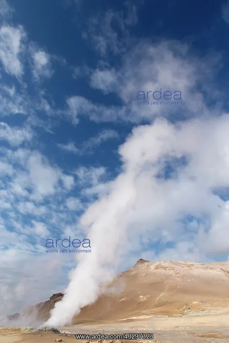 : 80195539 Steam Vents - Hverond, Lake Myvatn, Iceland : 80195539 Steam Vents - Hverond, Lake Myvatn, Iceland