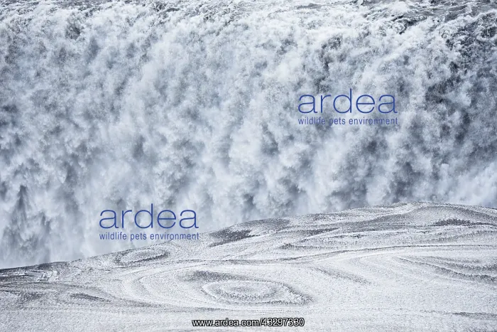 : 80195540 Dettifoss - with ice patterns Iceland Bill : 80195540 Dettifoss - with ice patterns Iceland Bill