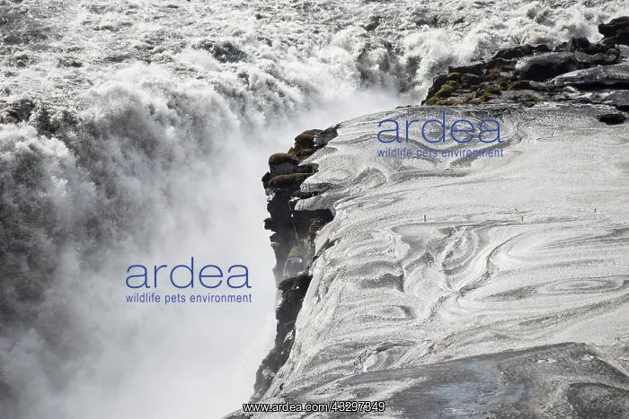 : 80195542 Dettifoss - with ice patterns Iceland Bill : 80195542 Dettifoss - with ice patterns Iceland Bill