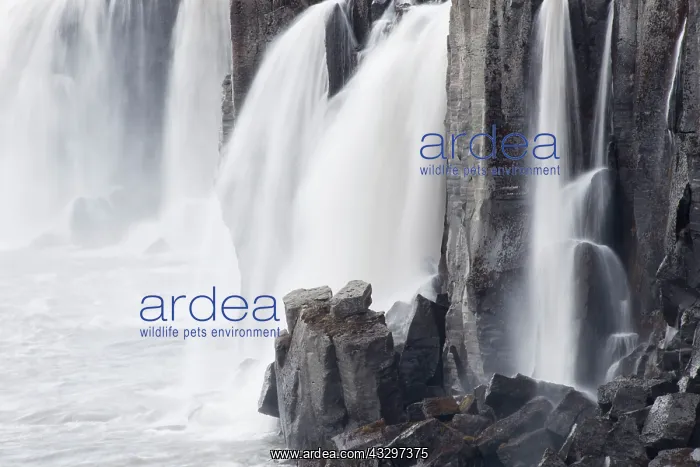 : 80195545 Selfoss - waterfall Iceland Bill Coster : 80195545 Selfoss - waterfall Iceland Bill Coster