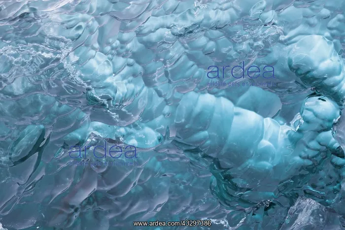 : 80195546 Blue Iceberg Detail Jokulsarlon Lagoon : 80195546 Blue Iceberg Detail Jokulsarlon Lagoon