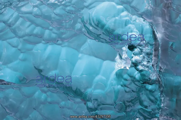 : 80195547 Blue Iceberg Detail Jokulsarlon Lagoon : 80195547 Blue Iceberg Detail Jokulsarlon Lagoon