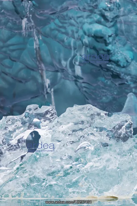 : 80195548 Blue Iceberg Detail Jokulsarlon Lagoon : 80195548 Blue Iceberg Detail Jokulsarlon Lagoon