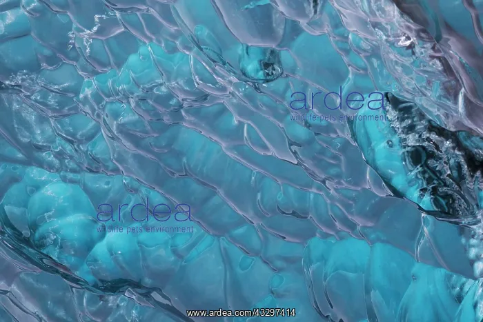 : 80195549 Blue Iceberg Detail Jokulsarlon Lagoon : 80195549 Blue Iceberg Detail Jokulsarlon Lagoon