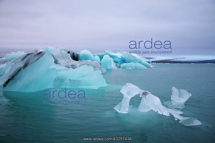 : 80195551 Blue Iceberg Jokulsarlon Lagoon, Iceland : 80195551 Blue Iceberg Jokulsarlon Lagoon, Iceland