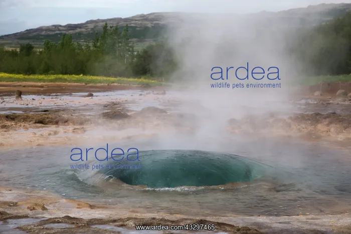  : 80195554 Strokkur Geysir - erupting Geysir Geothermic