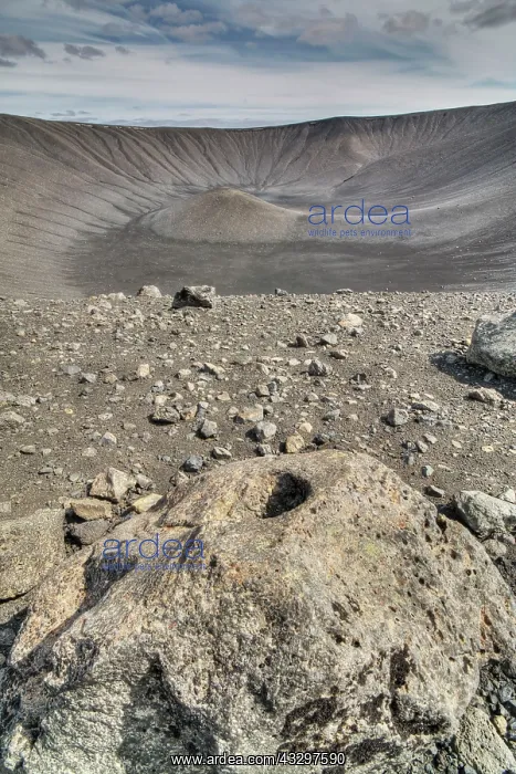: 80195566 Hverfjall Crater Lake Myvatn, Iceland Bill : 80195566 Hverfjall Crater Lake Myvatn, Iceland Bill