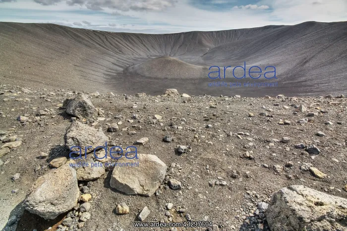 : 80195567 Hverfjall Crater Lake Myvatn, Iceland Bill : 80195567 Hverfjall Crater Lake Myvatn, Iceland Bill