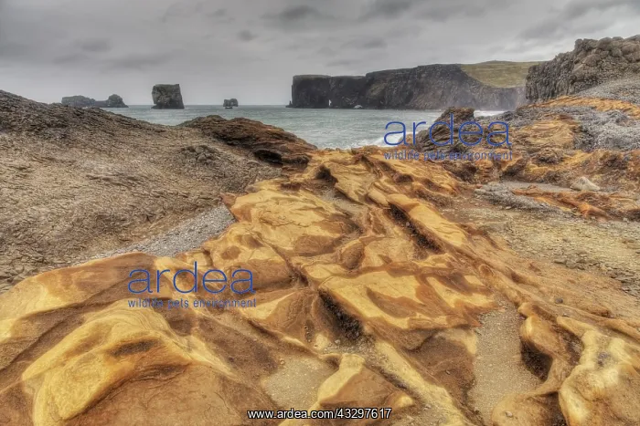 : 80195569 Rocky Shoreline - and offshore stacks Vik : 80195569 Rocky Shoreline - and offshore stacks Vik
