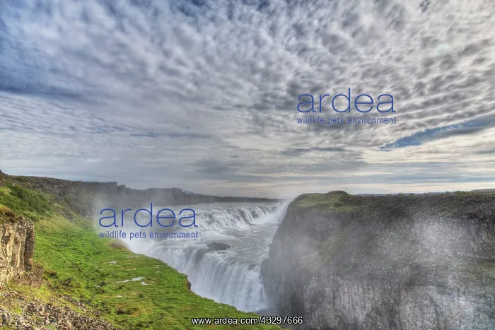 : 80195573 Gullfoss Waterfall Iceland Bill Coster : 80195573 Gullfoss Waterfall Iceland Bill Coster