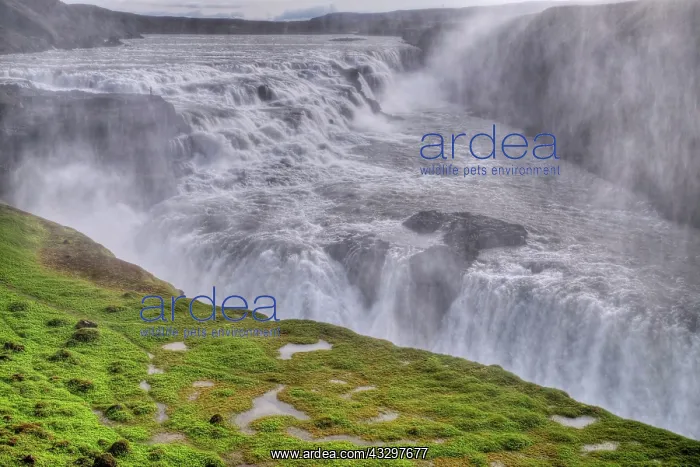  : 80195574 Gullfoss Waterfall Iceland Bill Coster
