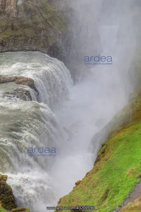 : 80195575 Gullfoss Waterfall Iceland Bill Coster : 80195575 Gullfoss Waterfall Iceland Bill Coster