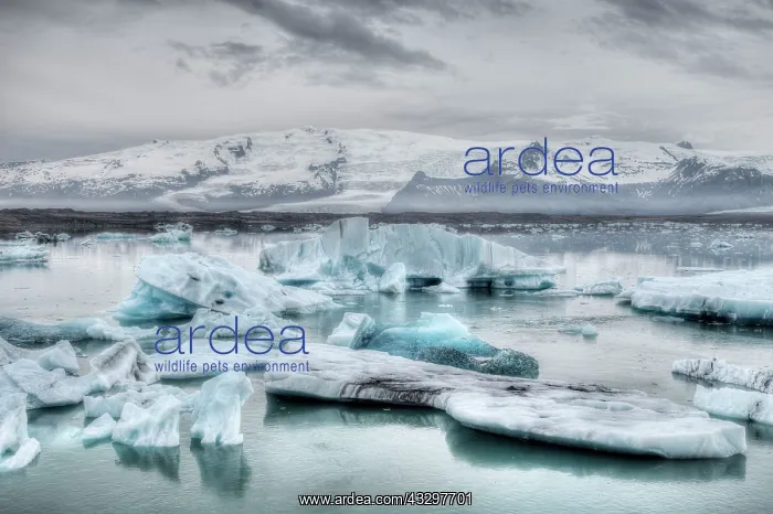 : 80195579 Blue Icebergs Jokulsarlon Lagoon, Iceland : 80195579 Blue Icebergs Jokulsarlon Lagoon, Iceland