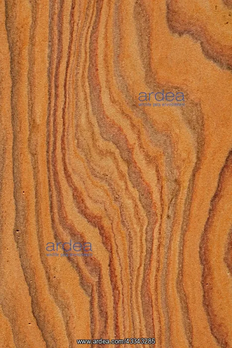 : 80195608 Sandstone, India, rainbow sandstone John : 80195608 Sandstone, India, rainbow sandstone John