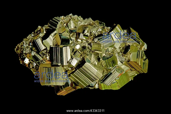 : 80195613 Pyrite, FeS, iron sulfide, fools gold : 80195613 Pyrite, FeS, iron sulfide, fools gold