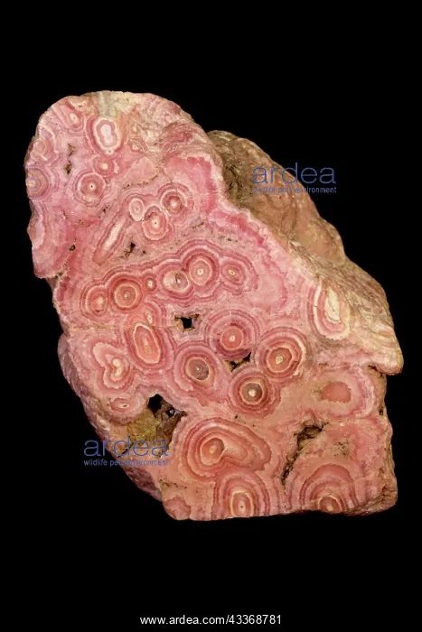 : 80195626 Rhodochrosite is a manganese carbonate : 80195626 Rhodochrosite is a manganese carbonate